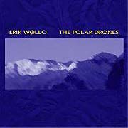 The Polar Drones