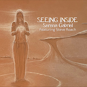 Seeing Inside